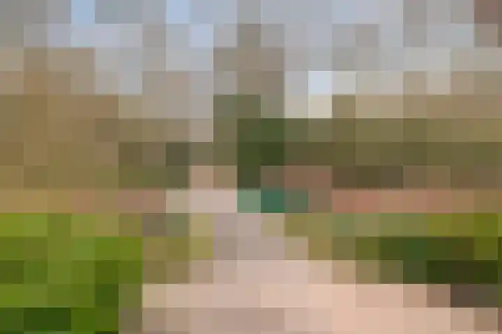 Boutenslaan 4 Eindhoven thumbnail 28