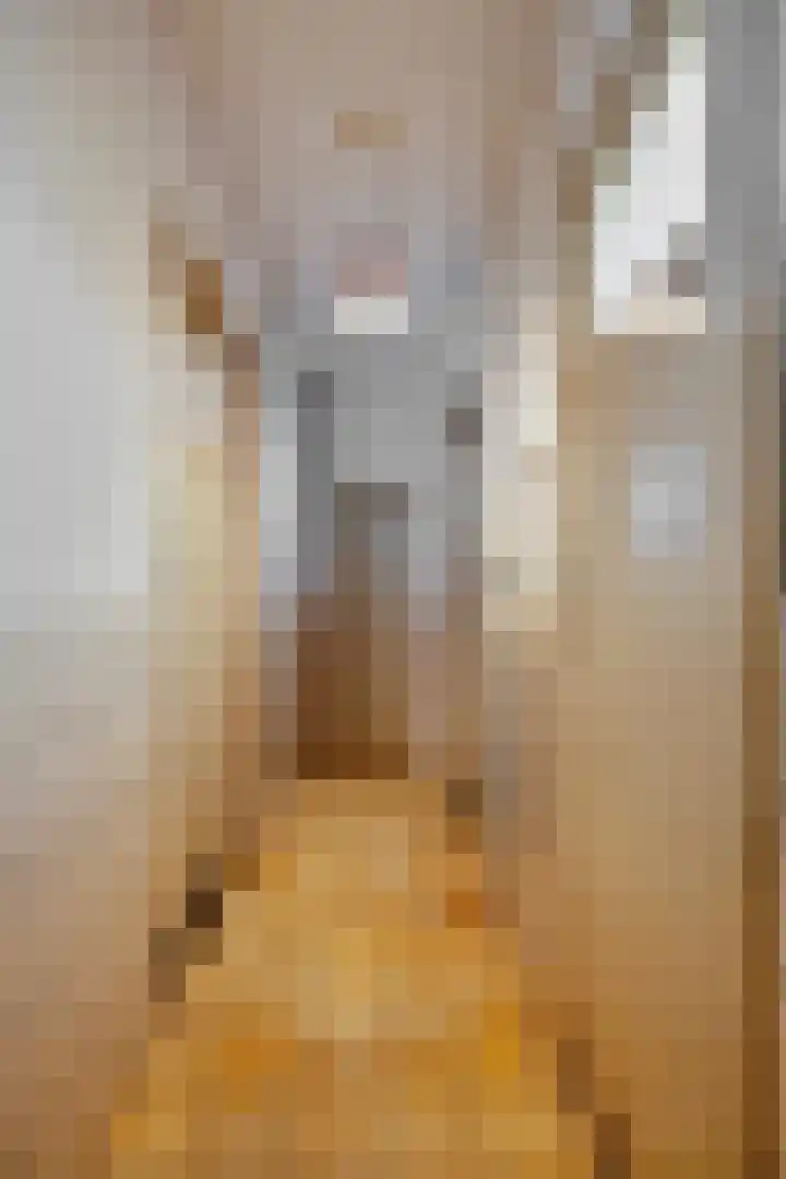 Boutenslaan 47 Eindhoven thumbnail 10