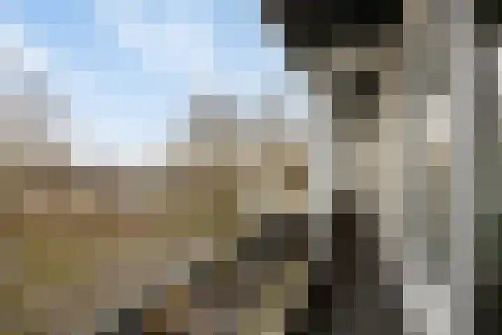 Boutenslaan 47 Eindhoven thumbnail 21