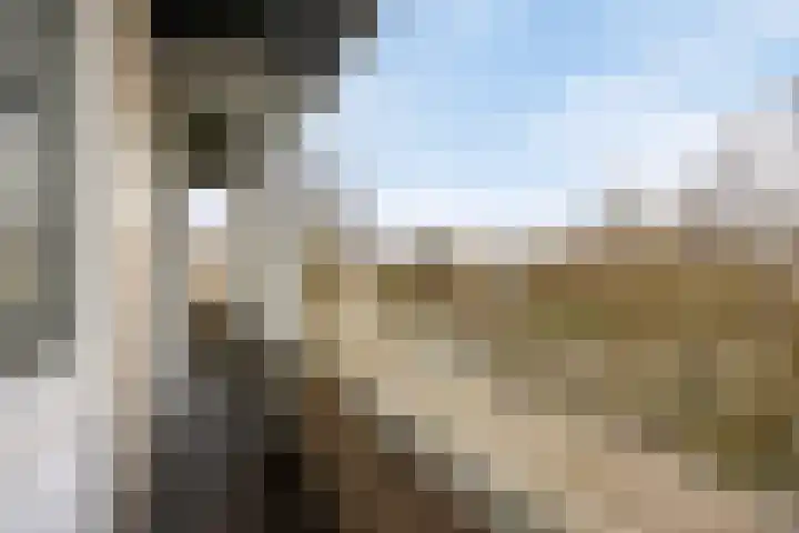 Boutenslaan 47 Eindhoven thumbnail 22
