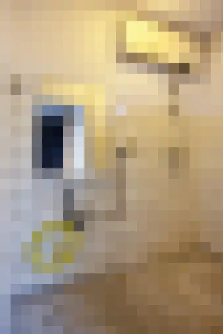 Boutenslaan 47 Eindhoven thumbnail 33