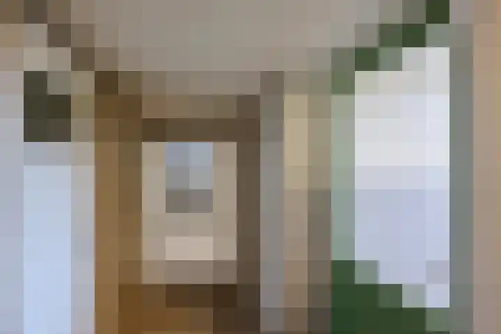 Boutenslaan 47 Eindhoven thumbnail 35
