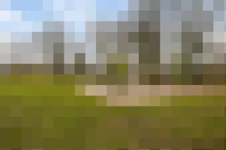 Boutenslaan 47 Eindhoven thumbnail 41