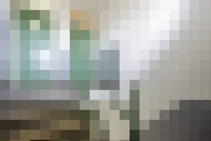 Boutenslaan 47 Eindhoven thumbnail 8