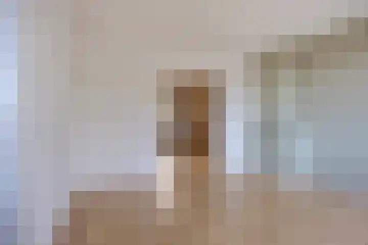 Boutenslaan 51 Eindhoven thumbnail 11