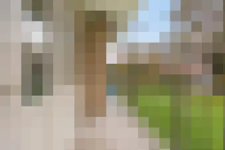Boutenslaan 51 Eindhoven thumbnail 22