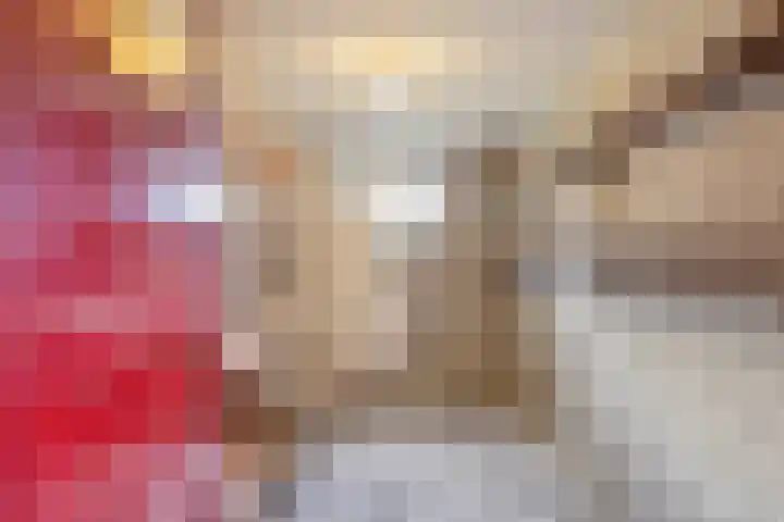 Boutenslaan 51 Eindhoven thumbnail 24