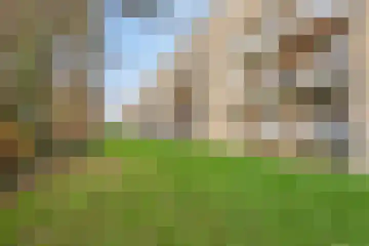 Boutenslaan 51 Eindhoven thumbnail 25