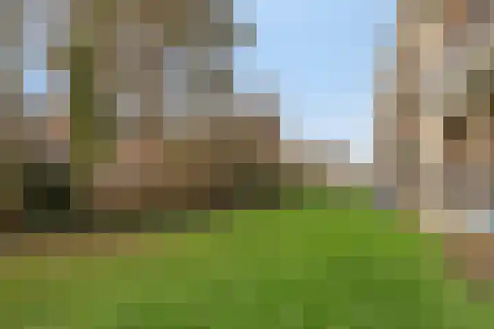 Boutenslaan 51 Eindhoven thumbnail 26