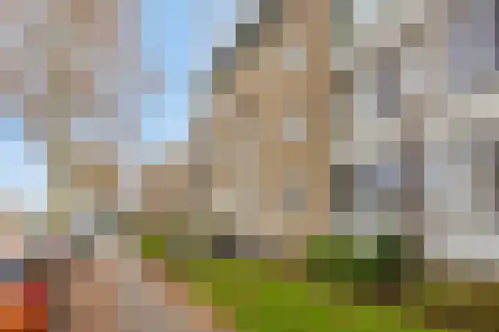 Boutenslaan 51 Eindhoven thumbnail 27