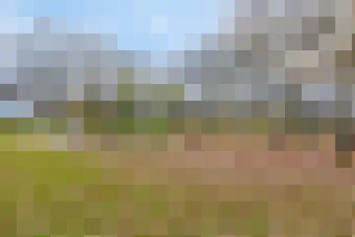 Boutenslaan 51 Eindhoven thumbnail 31