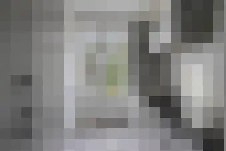 Boutenslaan 57 Eindhoven thumbnail 10