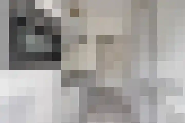 Boutenslaan 57 Eindhoven thumbnail 11