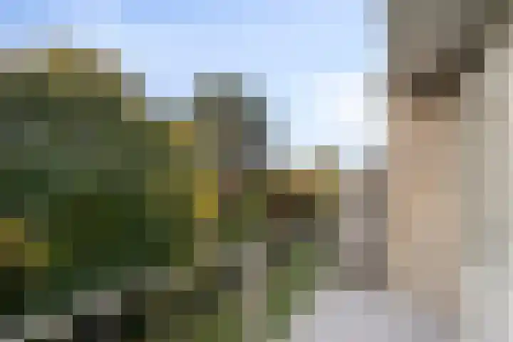 Boutenslaan 57 Eindhoven thumbnail 20