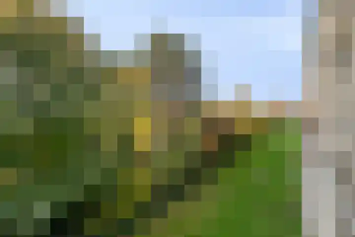 Boutenslaan 57 Eindhoven thumbnail 22