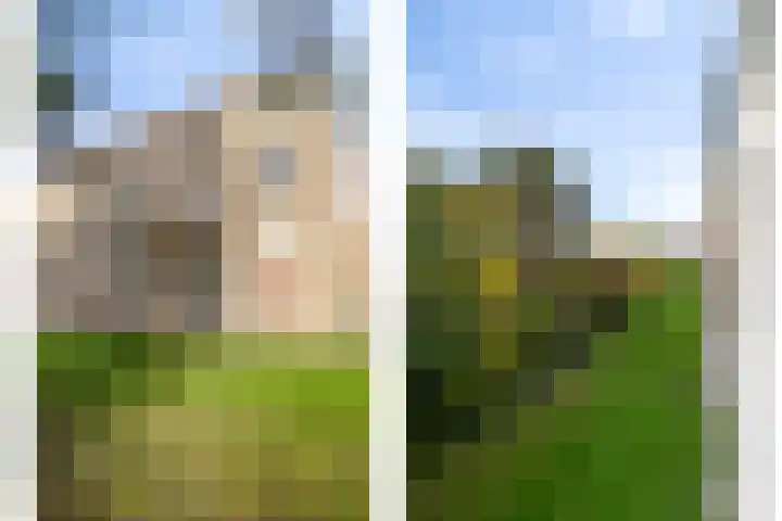 Boutenslaan 57 Eindhoven thumbnail 25