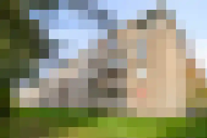 Boutenslaan 57 Eindhoven thumbnail 26