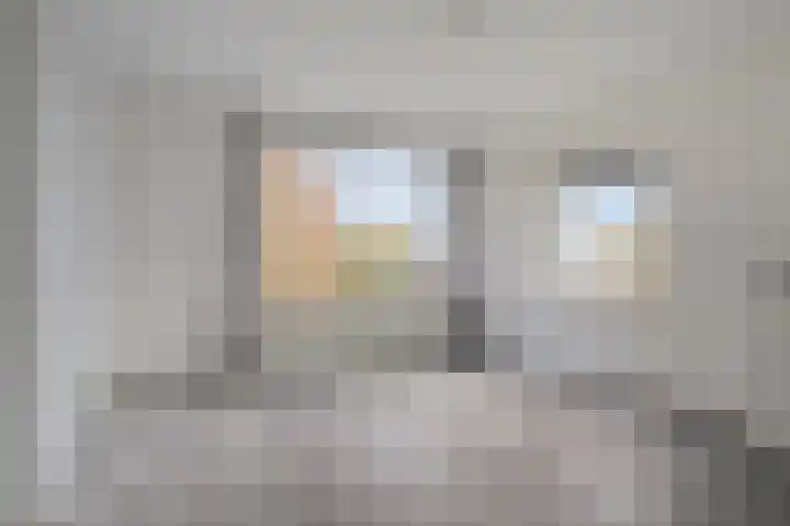 Boutenslaan 57 Eindhoven thumbnail 5