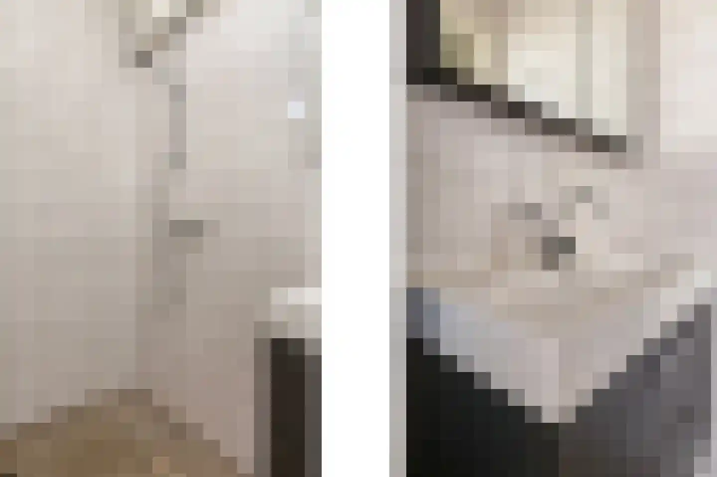 Boutenslaan 61 Eindhoven thumbnail 10