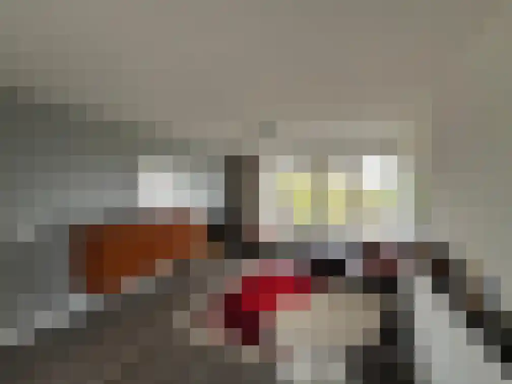 Boutenslaan 61 Eindhoven thumbnail 4