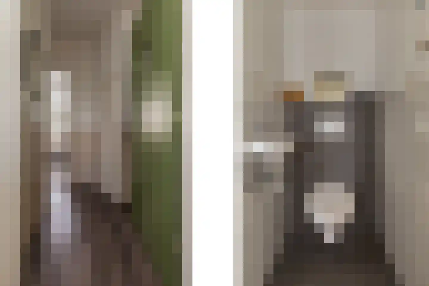 Boutenslaan 61 Eindhoven thumbnail 9