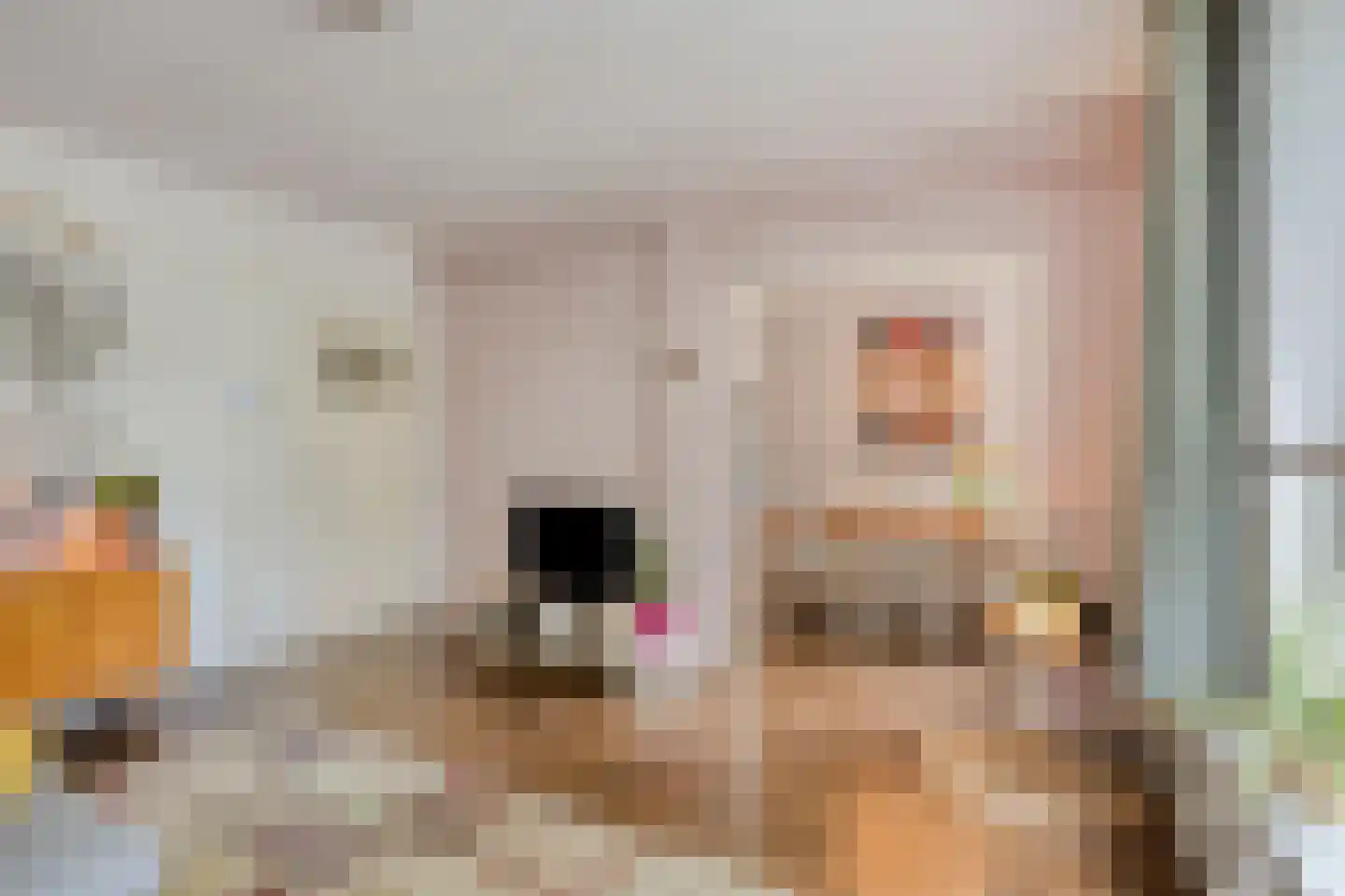 Boutenslaan 69 Eindhoven thumbnail 14