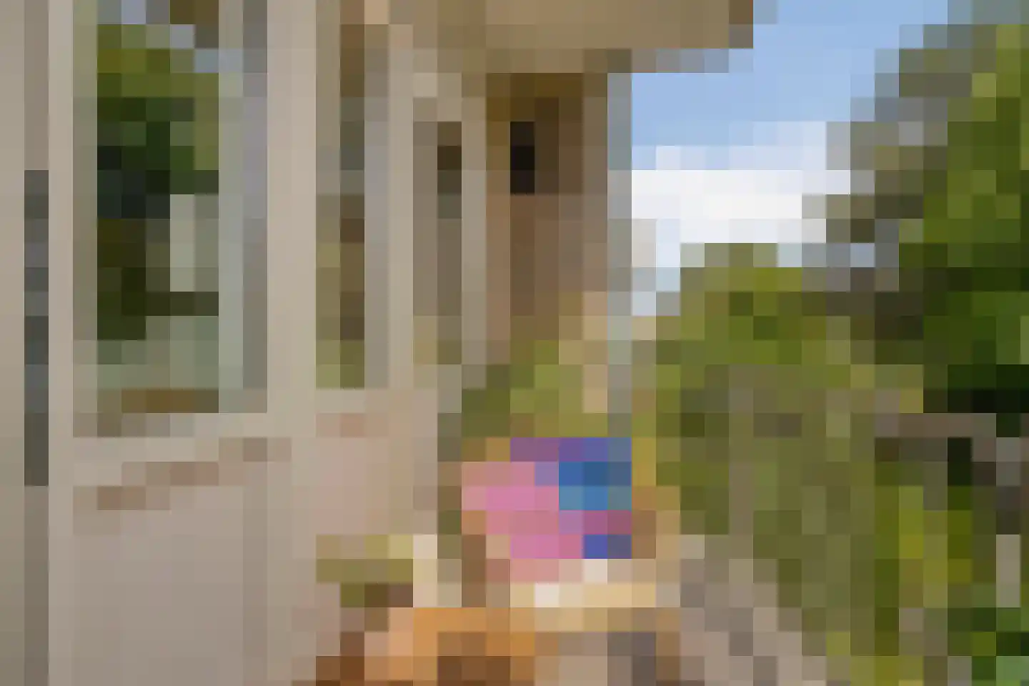 Boutenslaan 69 Eindhoven thumbnail 20
