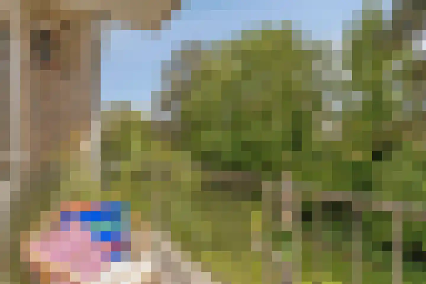 Boutenslaan 69 Eindhoven thumbnail 21