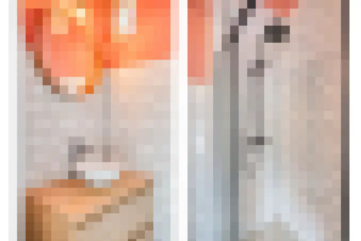 Boutenslaan 69 Eindhoven thumbnail 23