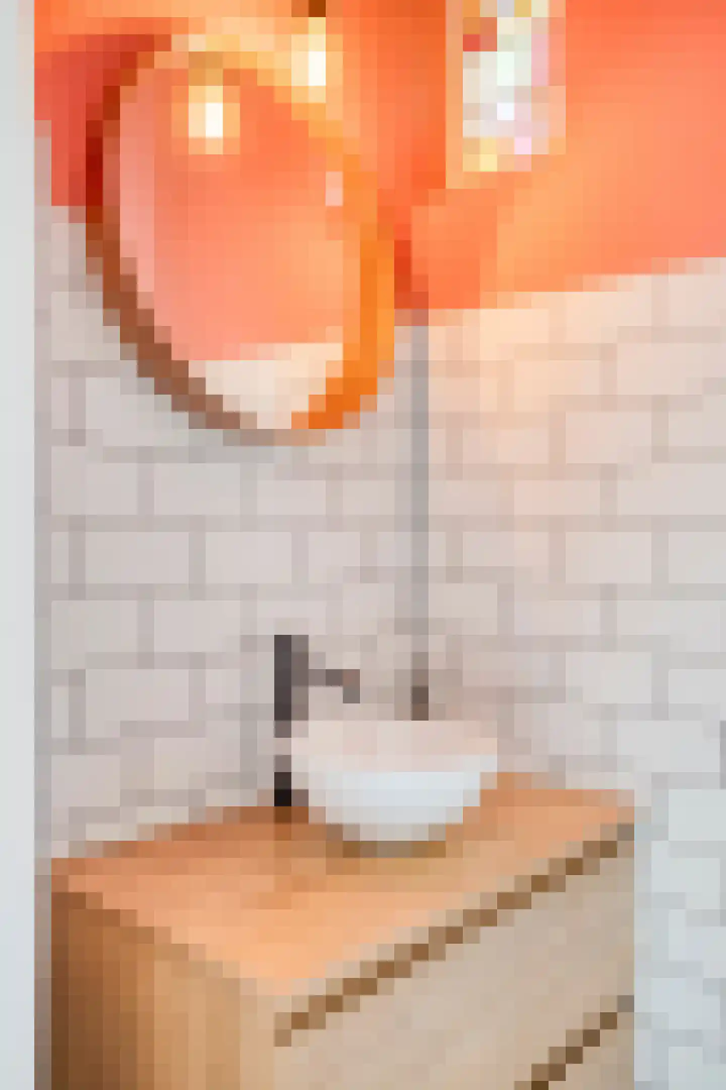 Boutenslaan 69 Eindhoven thumbnail 24