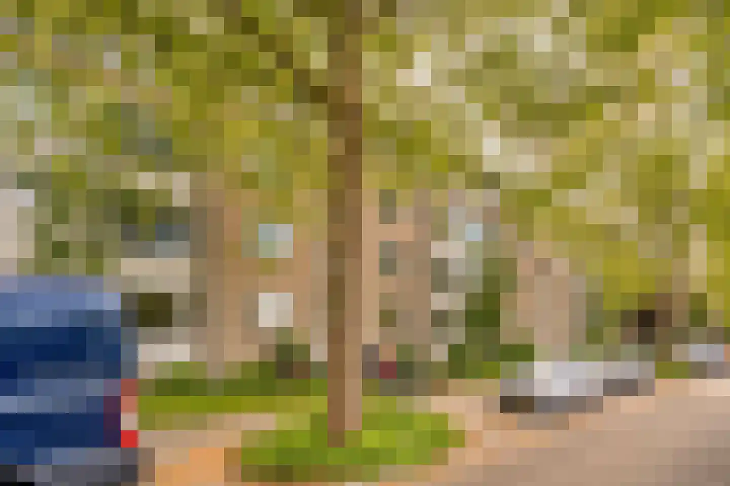 Boutenslaan 69 Eindhoven thumbnail 6