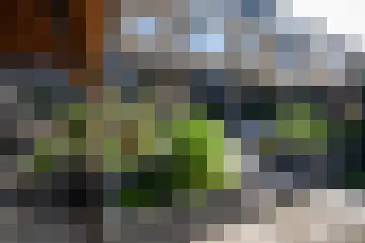Boutensstraat 15 Ridderkerk thumbnail 79