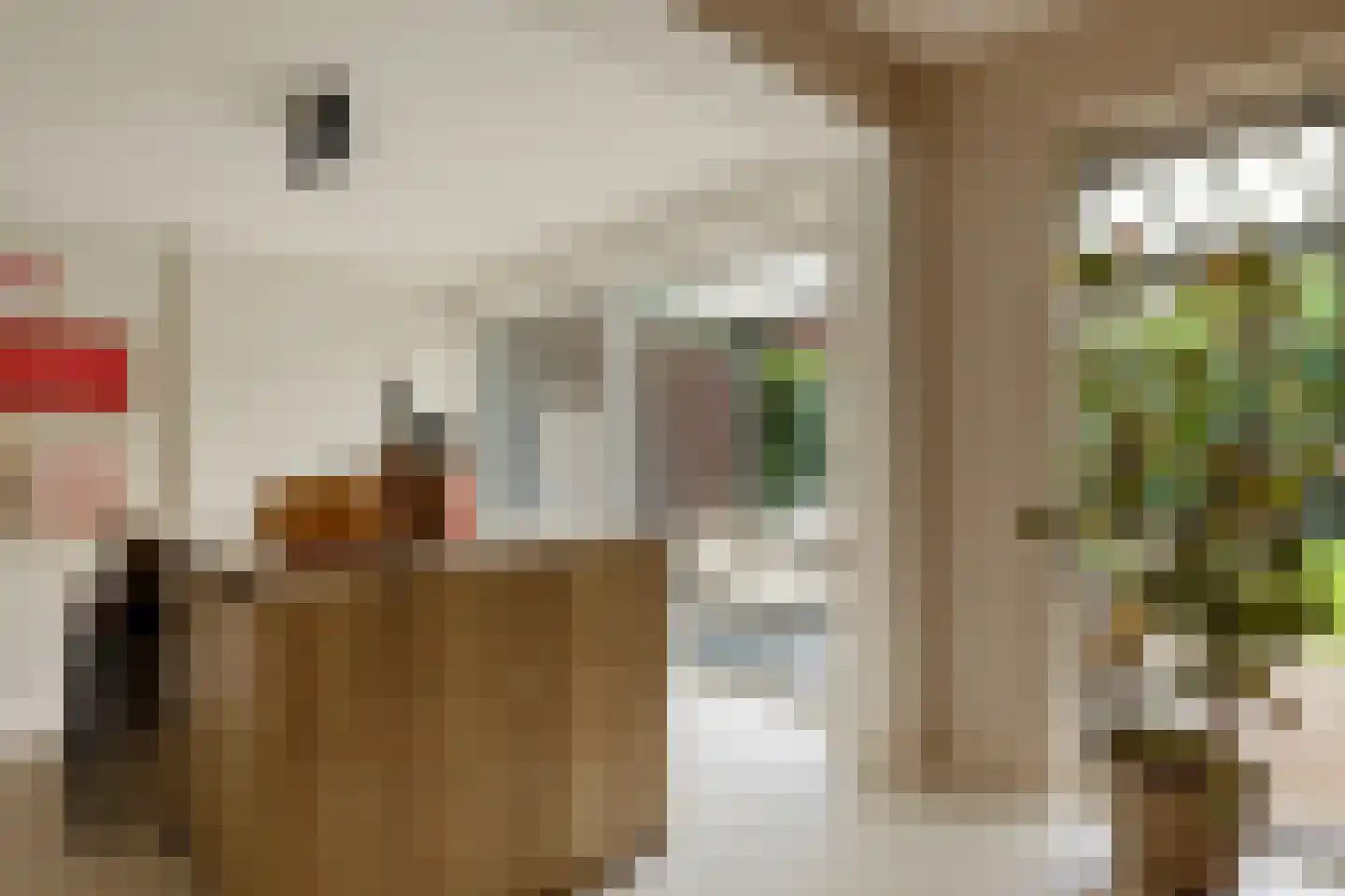 Boutensstraat 3 Zwolle thumbnail 18