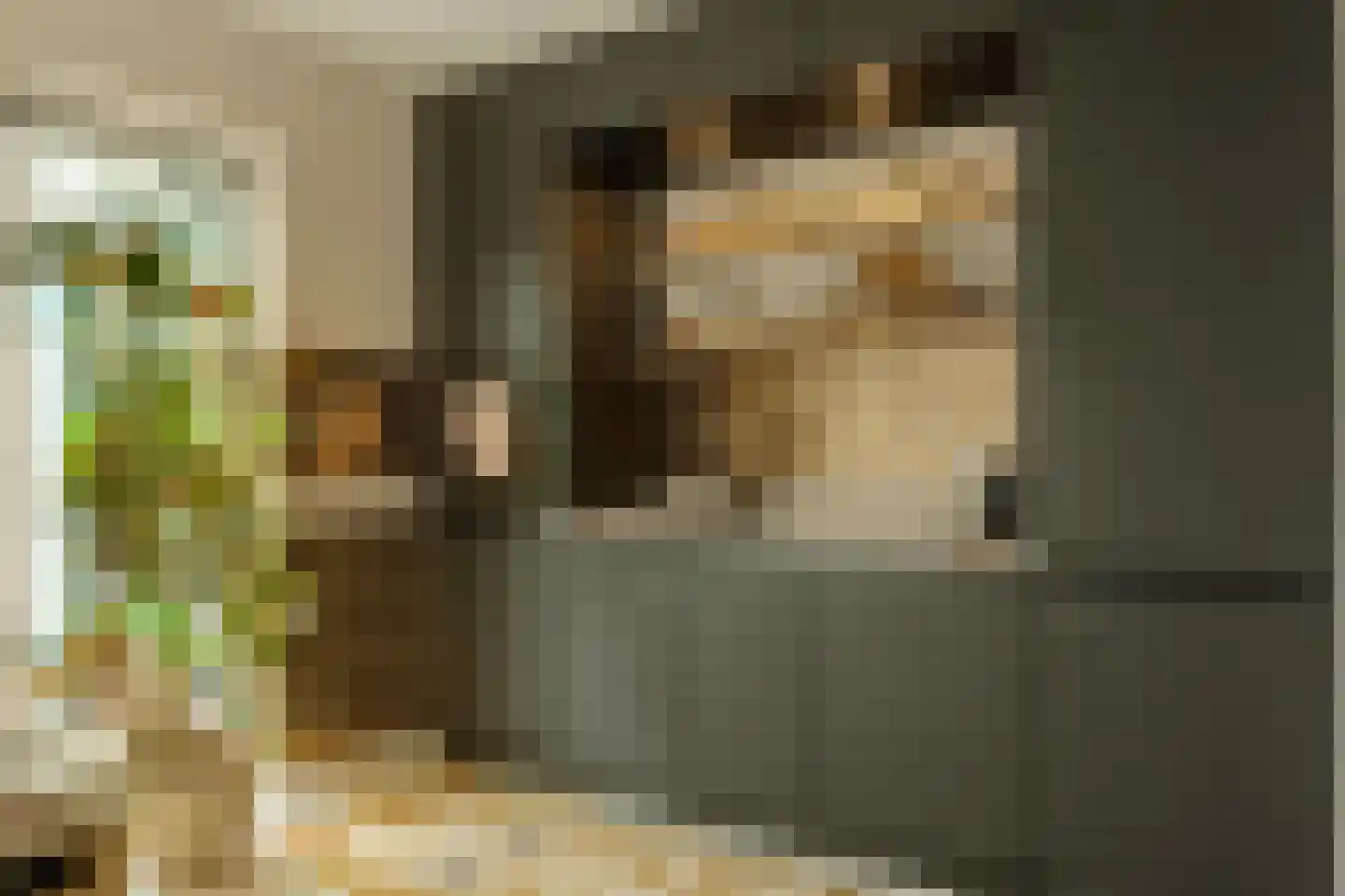 Boutensstraat 3 Zwolle thumbnail 21