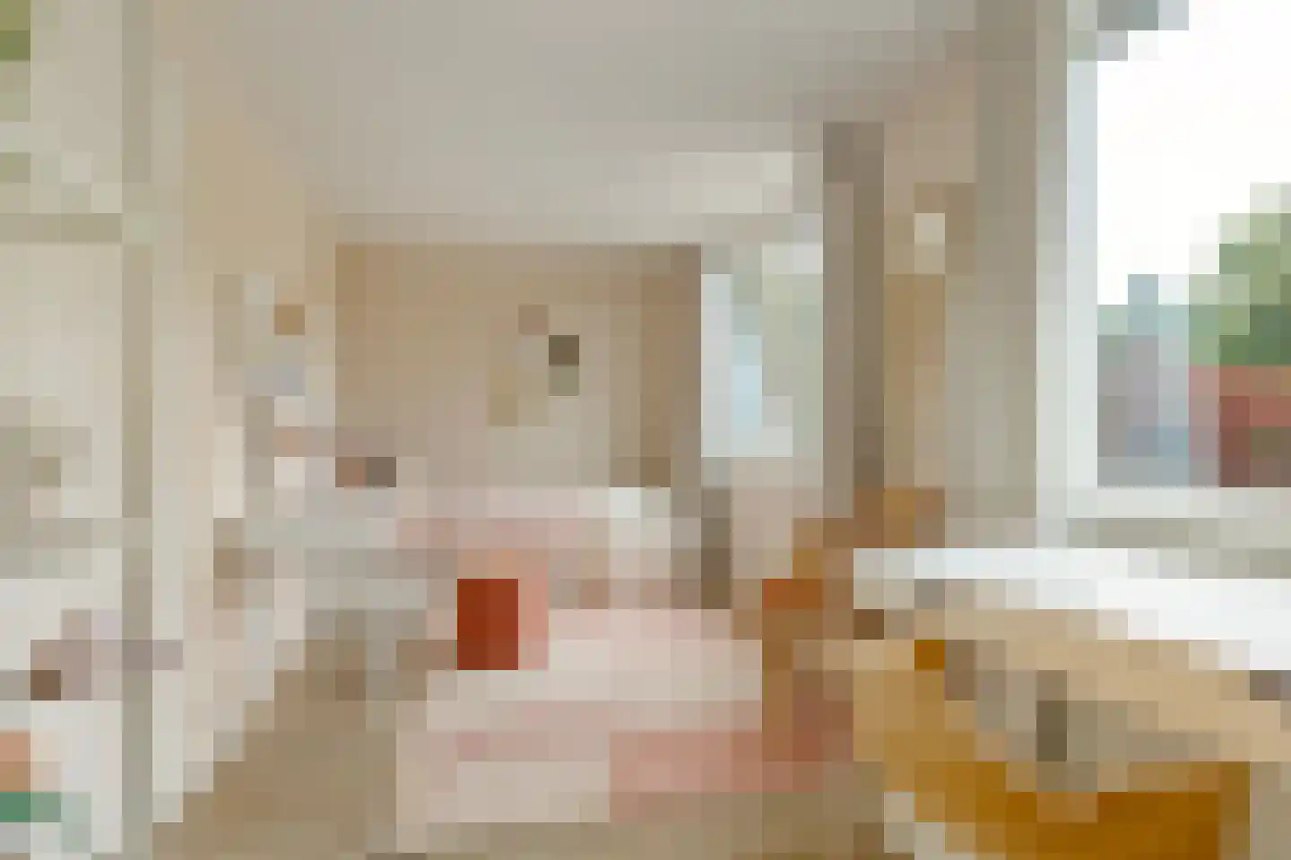 Boutensstraat 3 Zwolle thumbnail 30