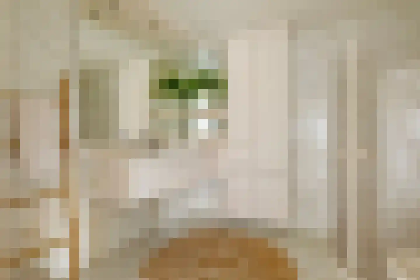 Boutensstraat 3 Zwolle thumbnail 34