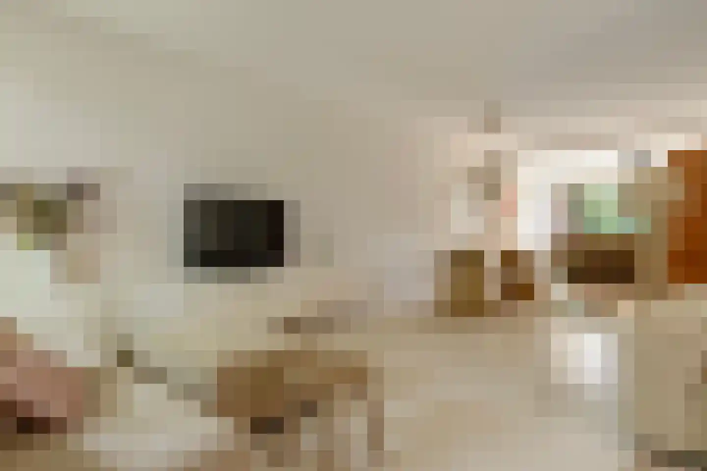 Boutensstraat 3 Zwolle thumbnail 4