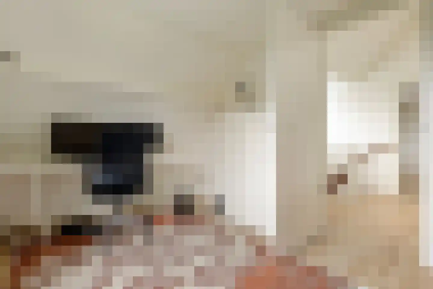 Boutensstraat 3 Zwolle thumbnail 41