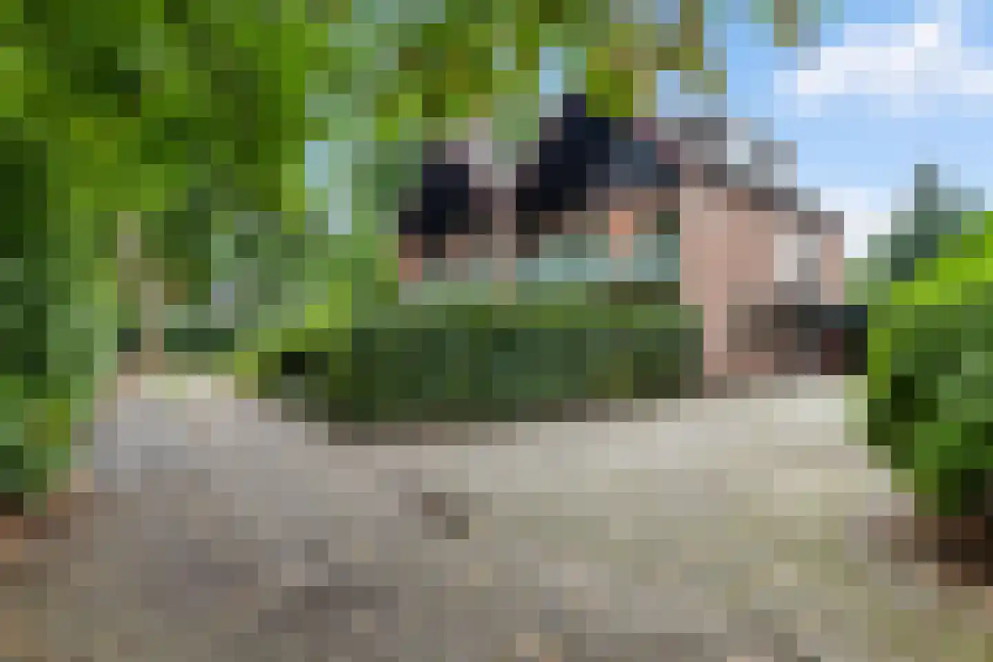 Boutensstraat 3 Zwolle thumbnail 55