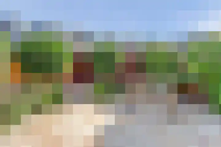 Boutensstraat 6 Ridderkerk thumbnail 39