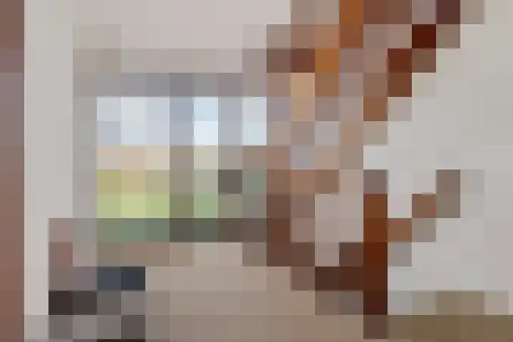 Boutensstraat 7 Zwolle thumbnail 24