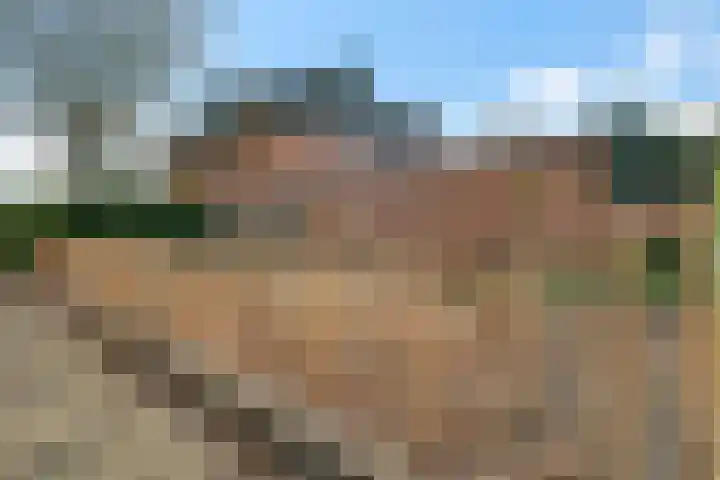 Boutensstraat 7 Zwolle thumbnail 37