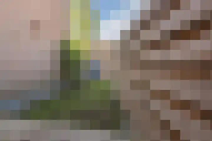 Boutenswende 20 Hillegom thumbnail 10