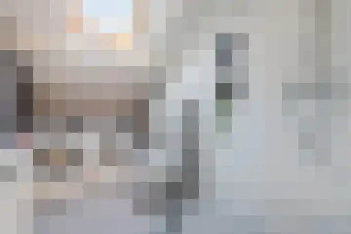 Boutenswende 20 Hillegom thumbnail 22
