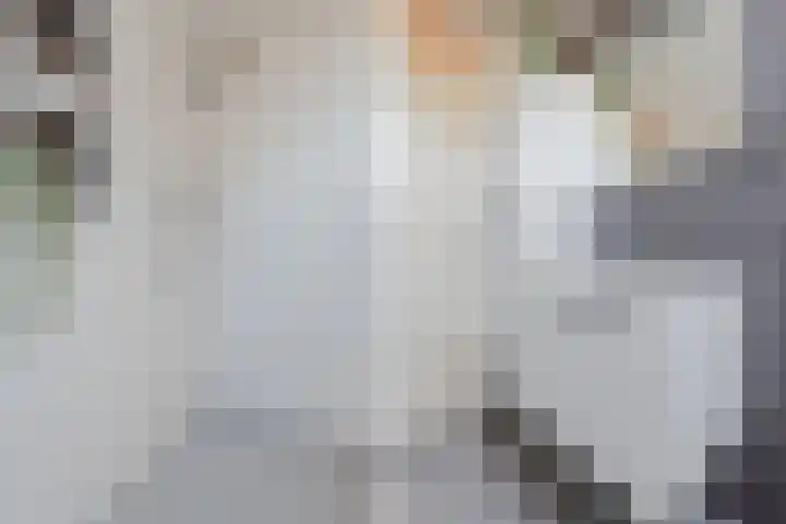Boutenswende 20 Hillegom thumbnail 24