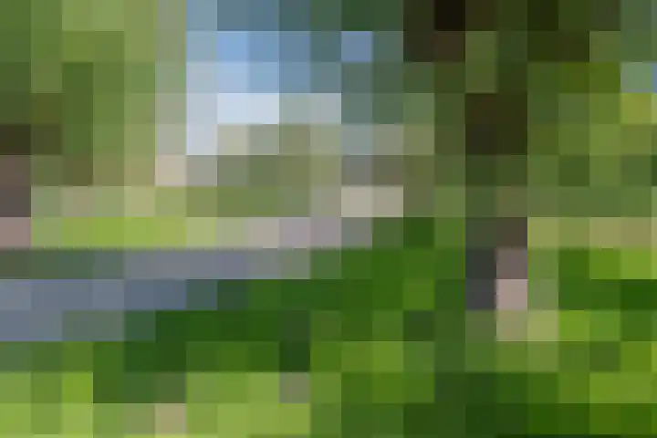 Boutenswende 20 Hillegom thumbnail 28