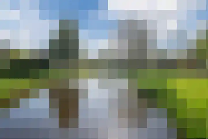 Boutenswende 20 Hillegom thumbnail 30