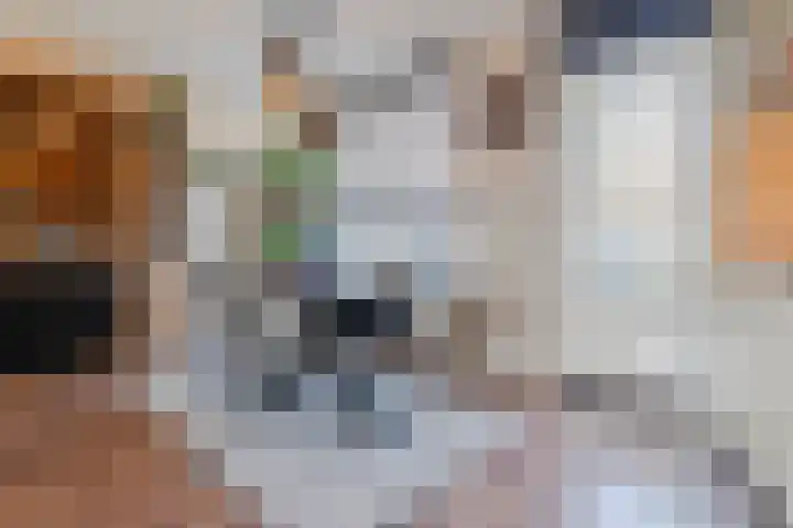 Boutenswende 20 Hillegom thumbnail 8