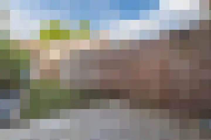 Boutenswende 20 Hillegom thumbnail 9