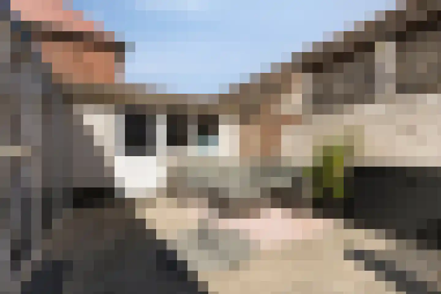 Boutershemstraat 10 Bergen op Zoom thumbnail 30
